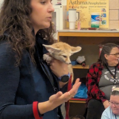 Programs- Wildlife Encounters