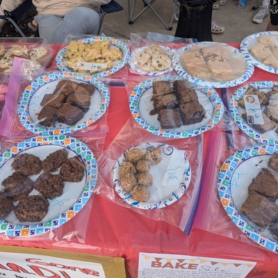 Having a bake sale to earn money to donate to two little boys to receive a service dog