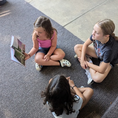 Summer Library Day