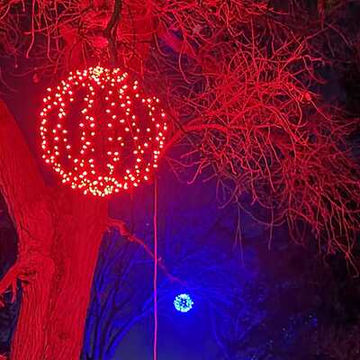 tree 2